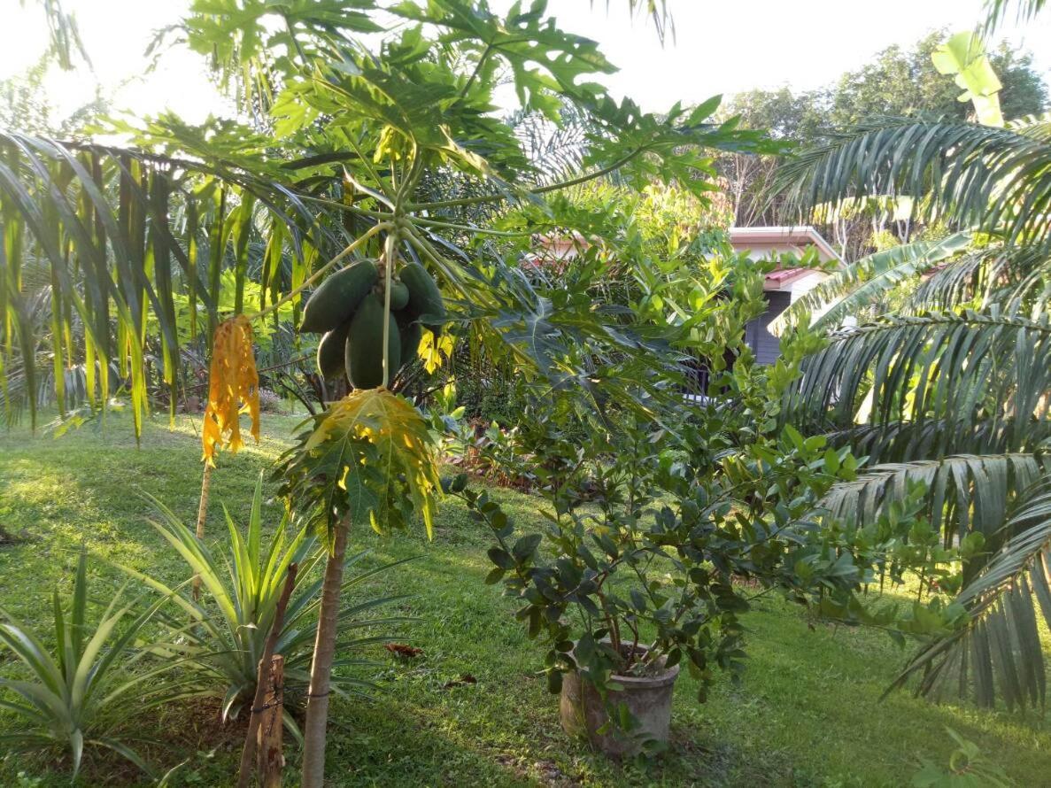 Baan Reenaa Lanta Ко-Ланта Экстерьер фото